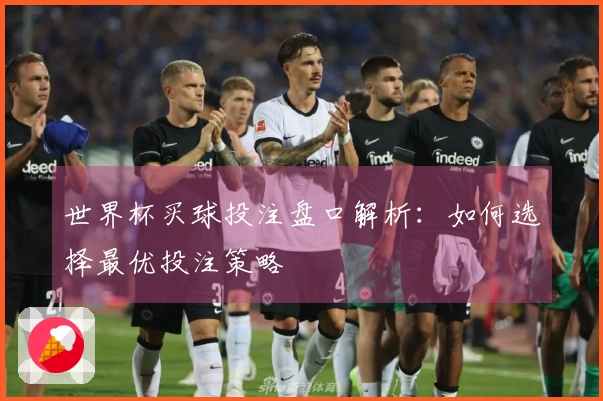 世界杯买球投注盘口解析：如何选择最优投注策略