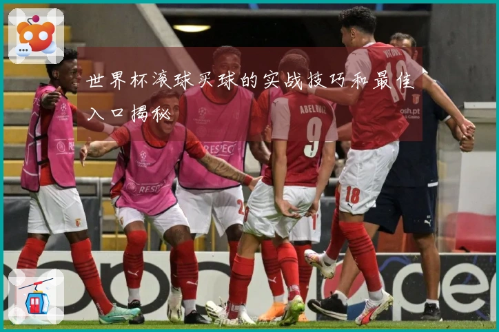 世界杯滚球买球的实战技巧和最佳入口揭秘