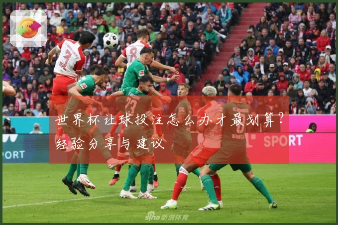 世界杯让球投注怎么办才最划算？经验分享与建议