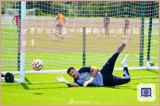 世界杯让球盘口详解新手必读经验分享