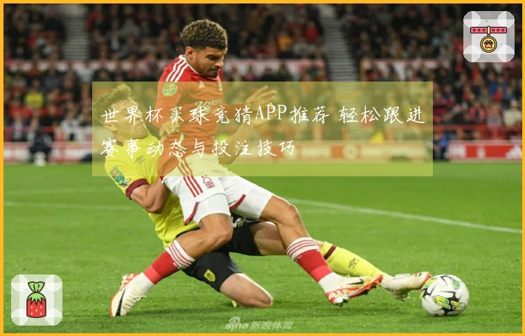 世界杯买球竞猜APP推荐 轻松跟进赛事动态与投注技巧