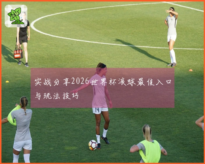实战分享2026世界杯滚球最佳入口与玩法技巧