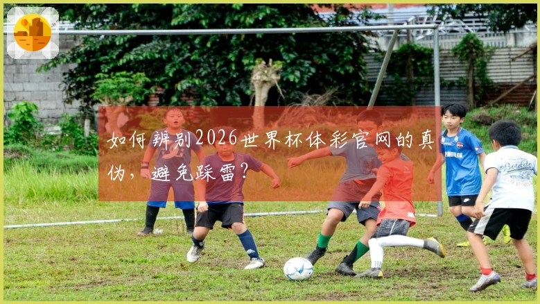 如何辨别2026世界杯体彩官网的真伪，避免踩雷？