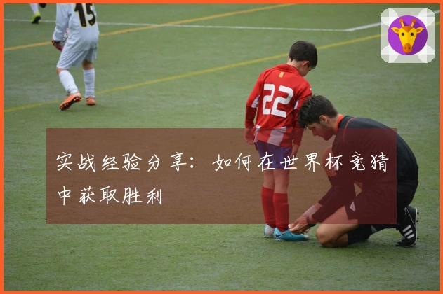 实战经验分享：如何在世界杯竞猜中获取胜利