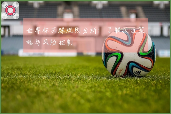 世界杯买球规则分析：了解投注策略与风险控制