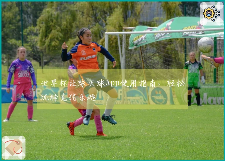 世界杯让球买球App使用指南，轻松玩转竞猜乐趣