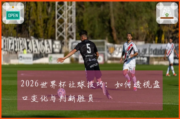 2026世界杯让球技巧：如何透视盘口变化与判断胜负