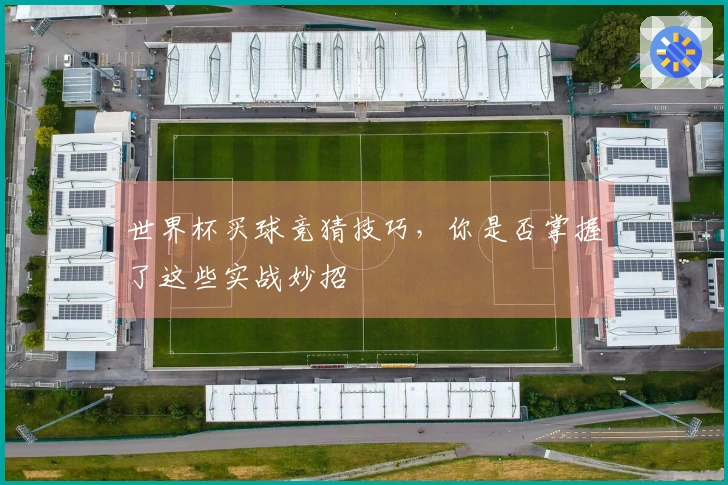 世界杯买球竞猜技巧，你是否掌握了这些实战妙招