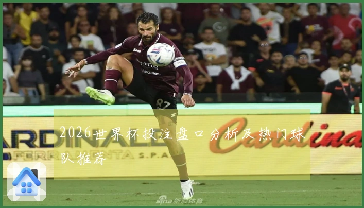 2026世界杯投注盘口分析及热门球队推荐