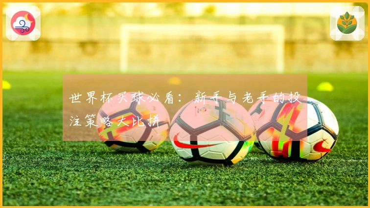 世界杯买球必看：新手与老手的投注策略大比拼