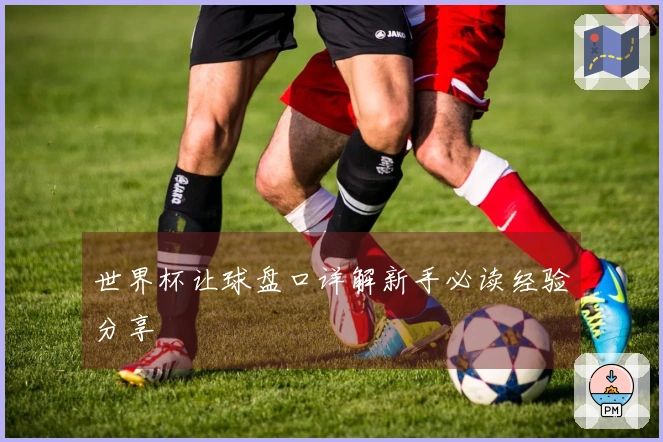 世界杯让球盘口详解新手必读经验分享
