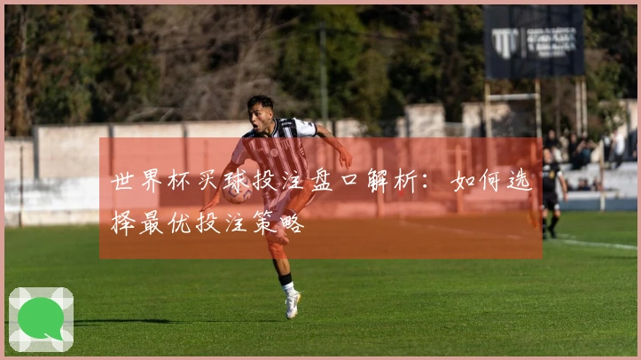 世界杯买球投注盘口解析：如何选择最优投注策略