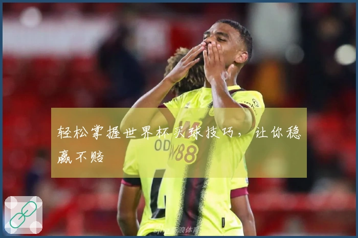轻松掌握世界杯买球技巧，让你稳赢不赔